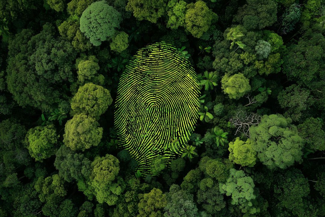 Image for: ¿Qué es el déficit ecológico? Cálculo y países bajo el punto de mira